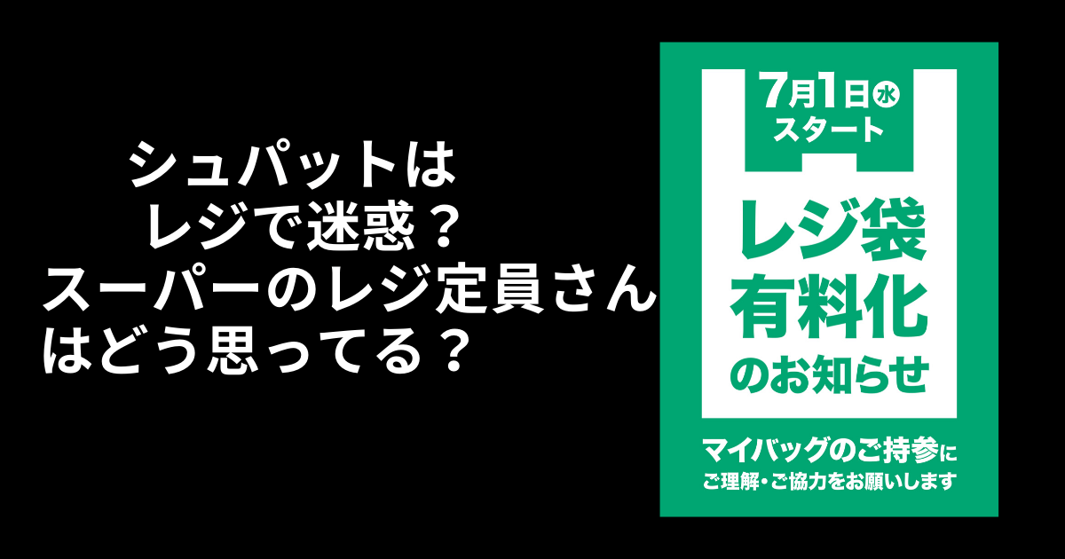 シュパットはレジで迷惑 エコバッグ レジかごバッグは店員はどう思ってる 小学生からのプログラミング情報pinokonavi