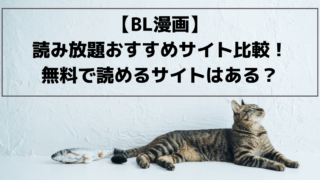 21最新 ディズニーランドチケット倍率は コロナ渦の入場制限 混雑状況は Pinokonavi